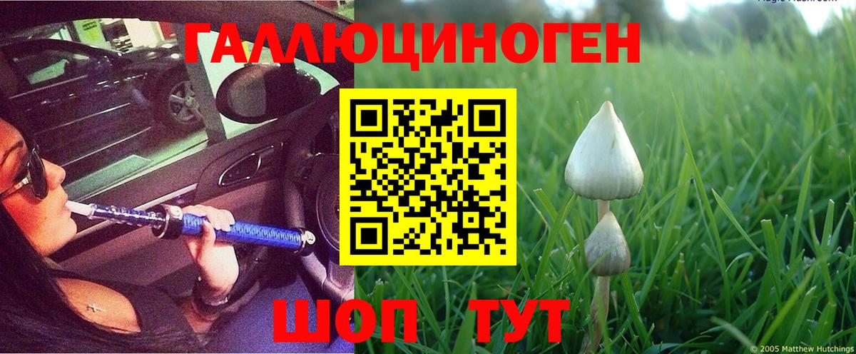 Шадринск  Псилоцибиновые грибы мухоморы  Вход с VPN 